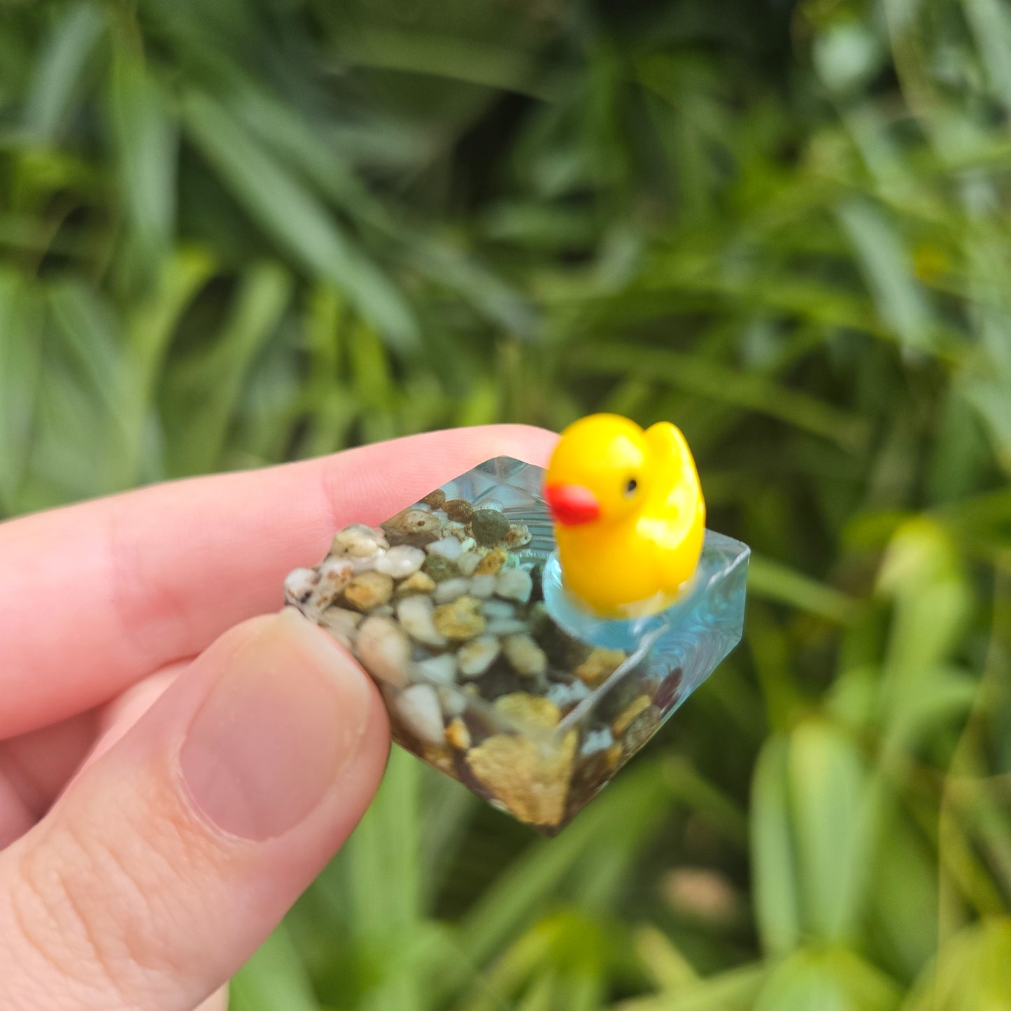 Ducky Pond Ripple Square