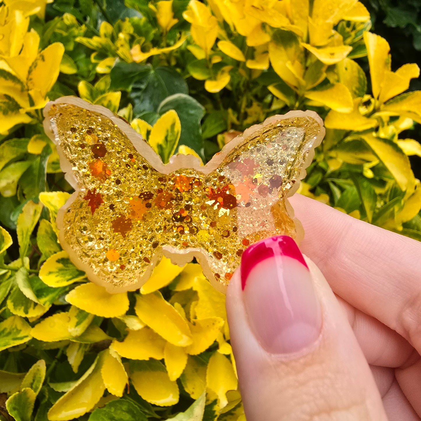 Autumn The Butterfly