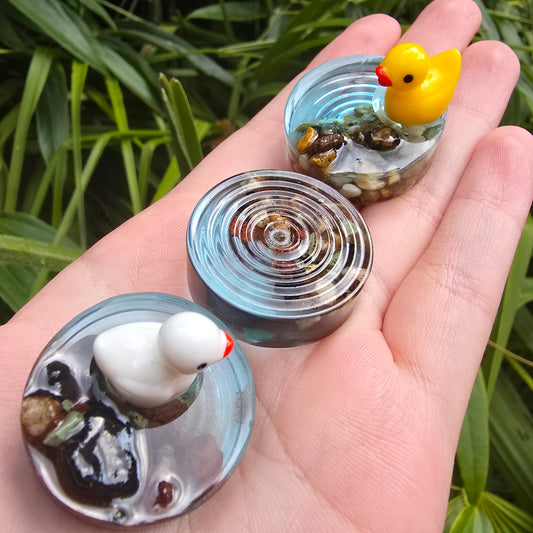 Ducky Pond Ripple Circle