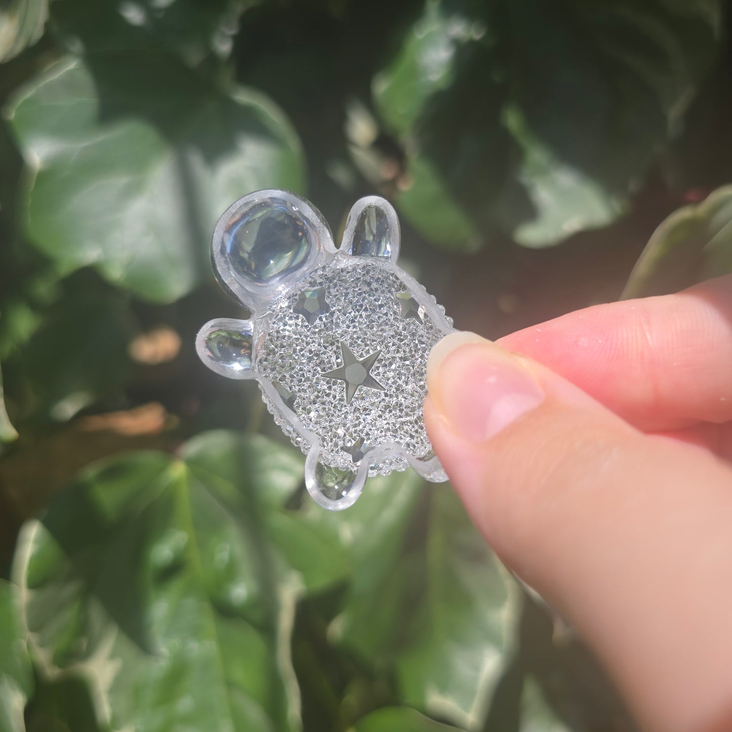 Tiny Turtle