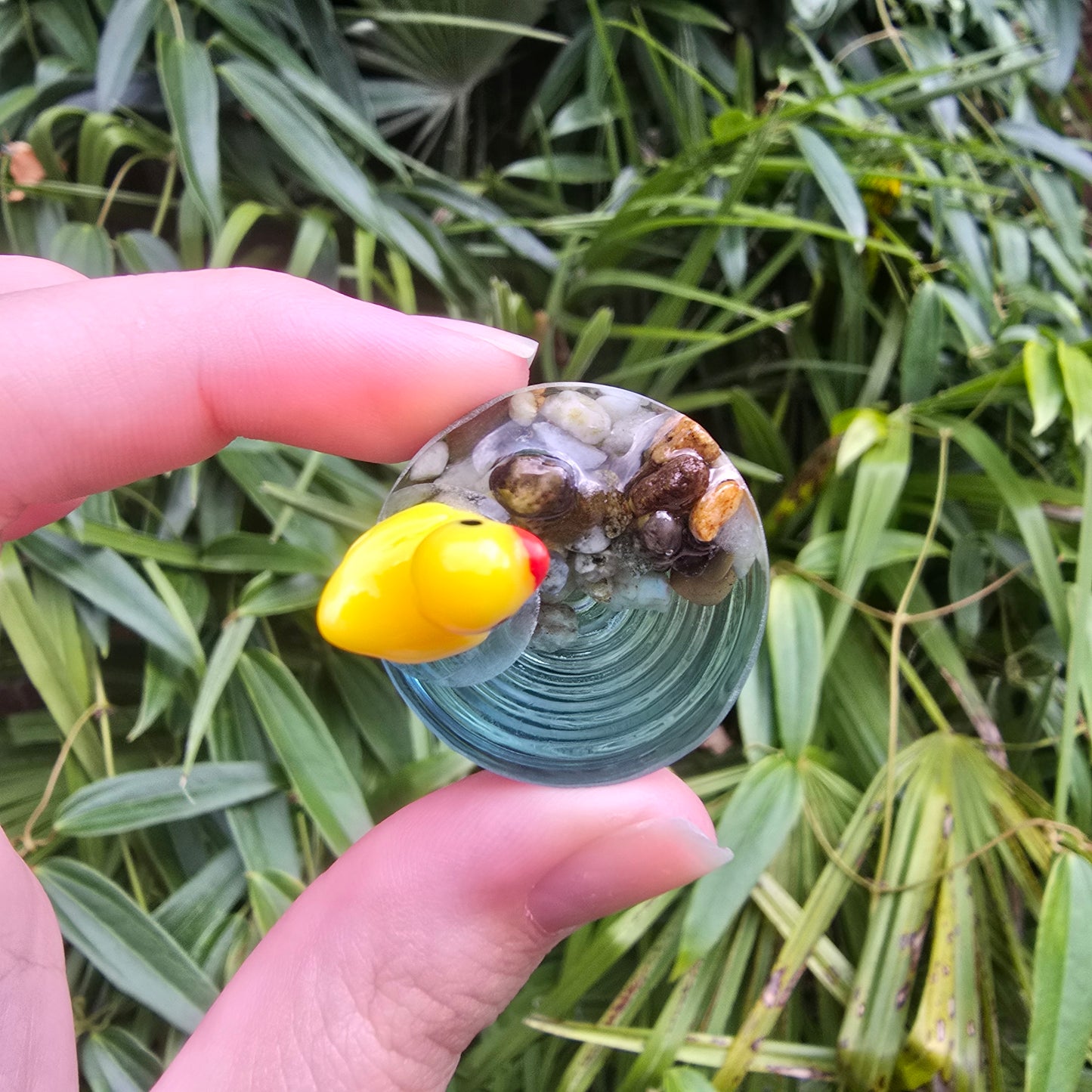 Ducky Pond Ripple Circle