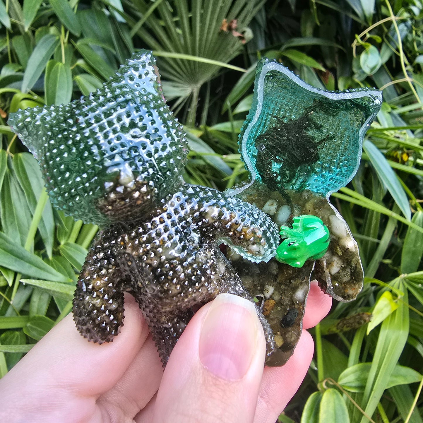 Froggy Pond Jagged Jessie