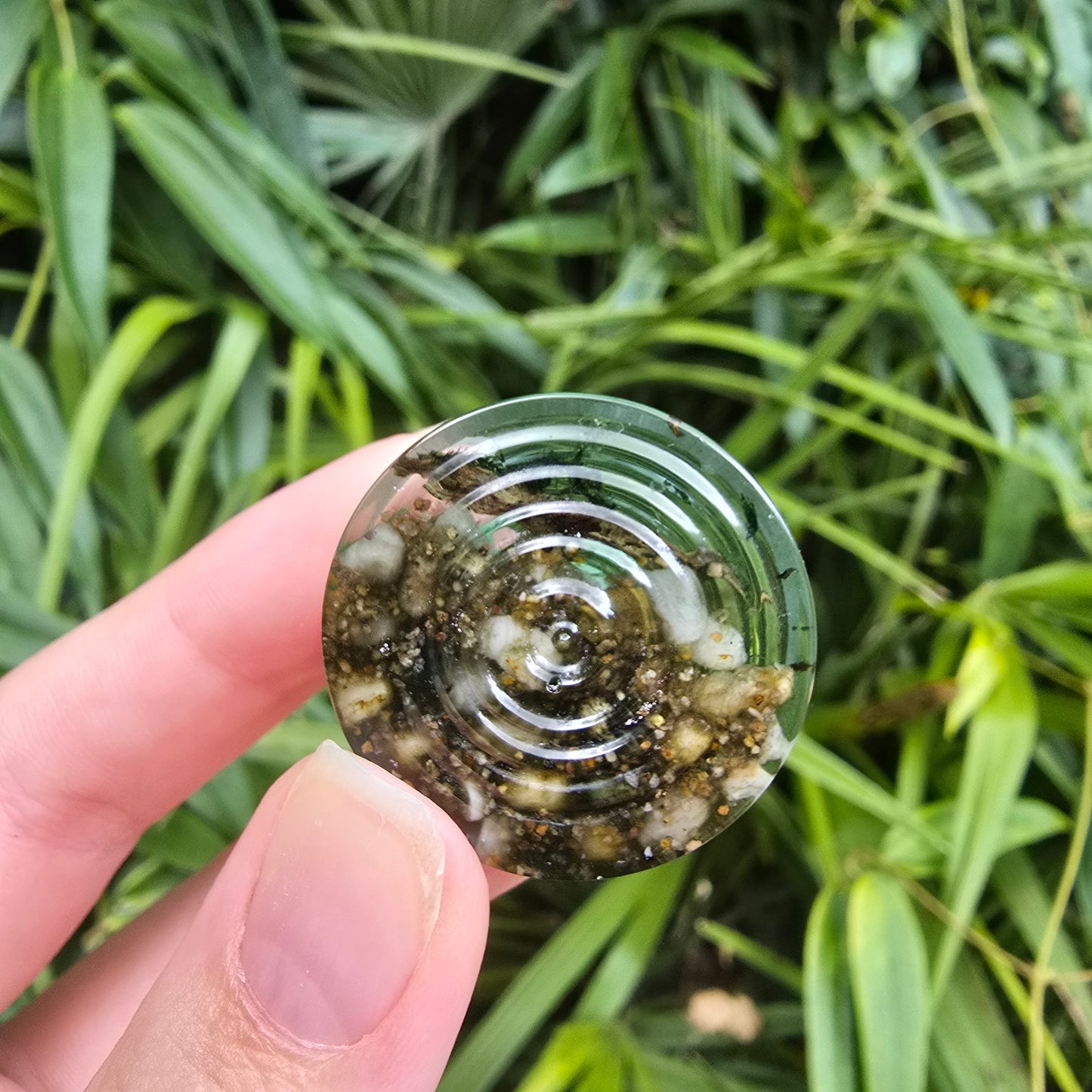 Froggy Pond Ripple Circle