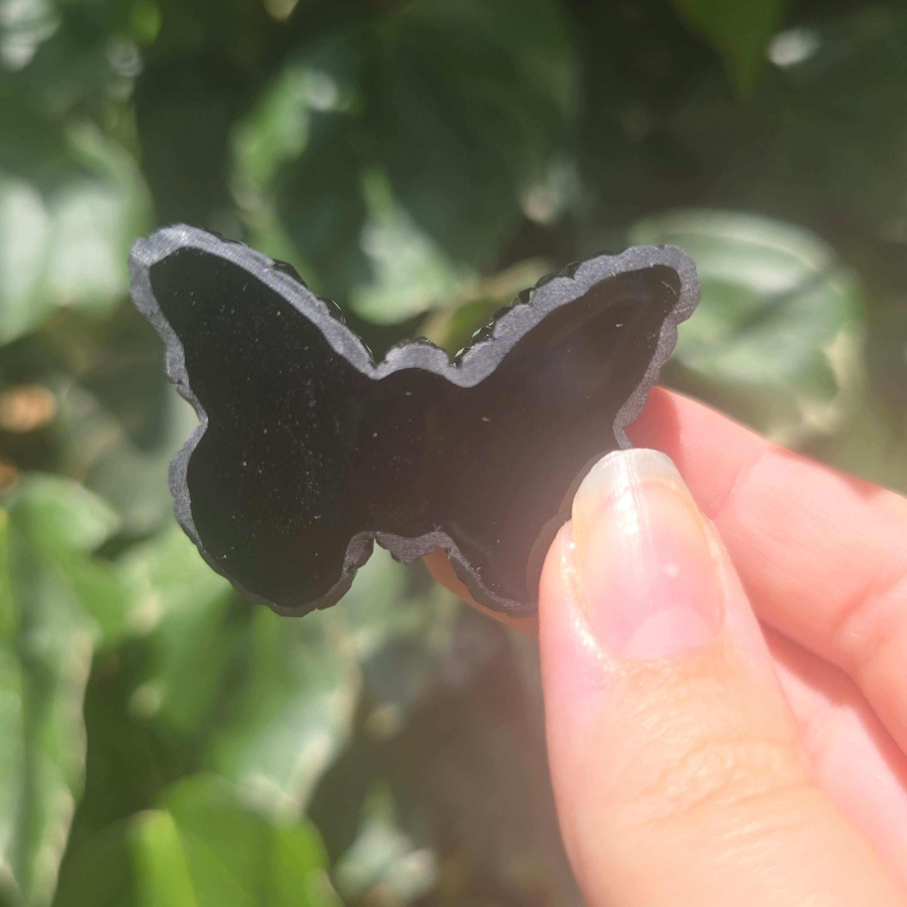 The Butterfly