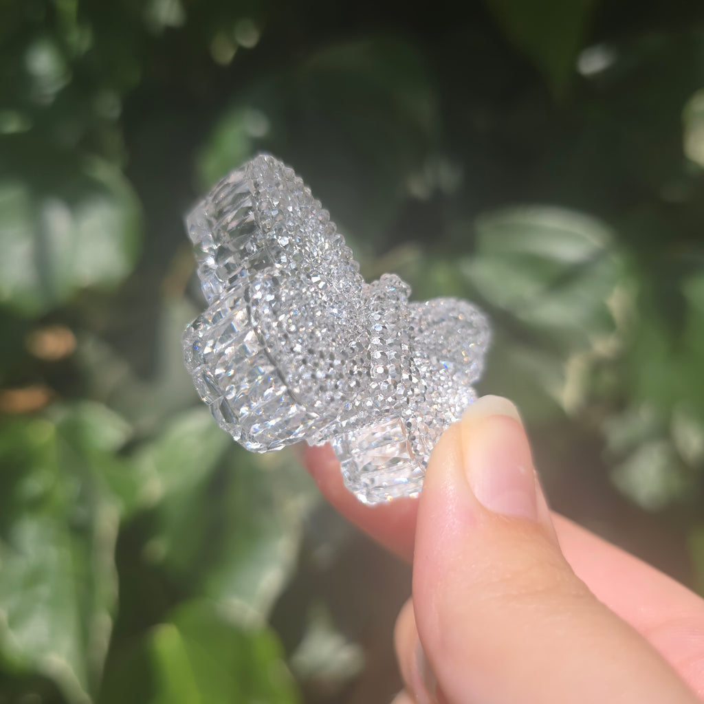 The Butterfly