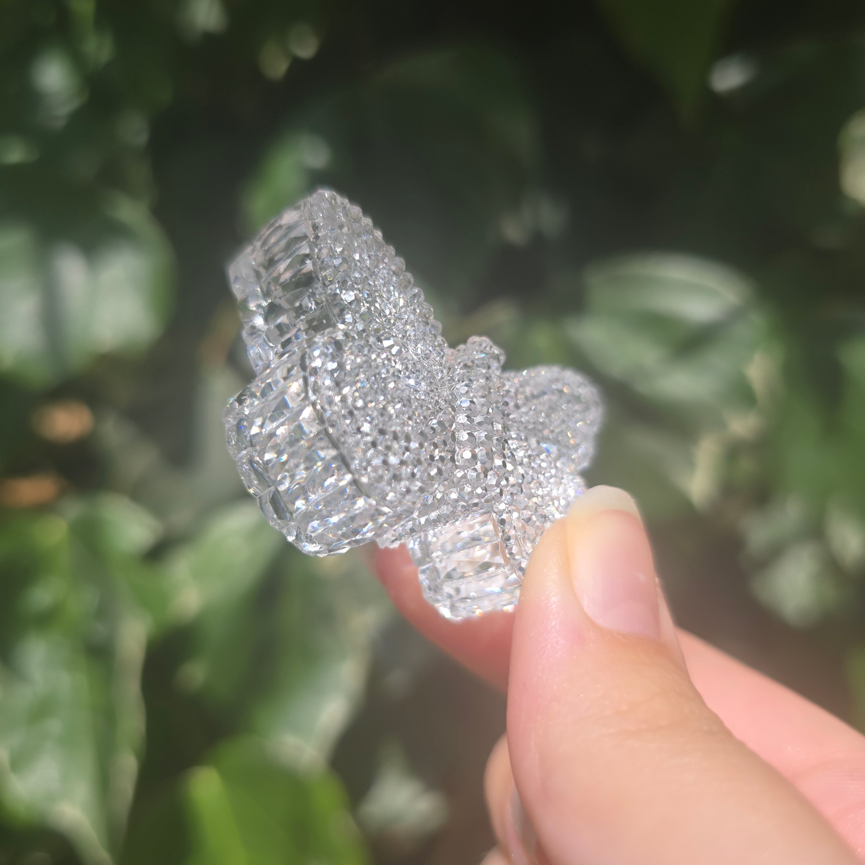 The Butterfly