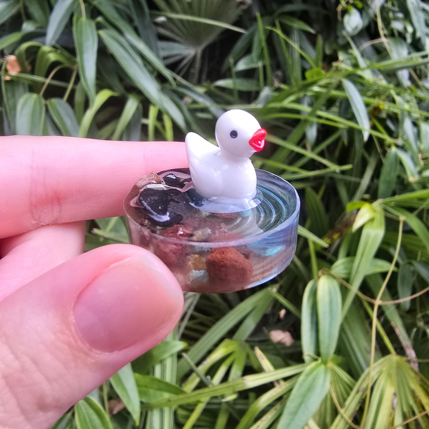 Ducky Pond Ripple Circle