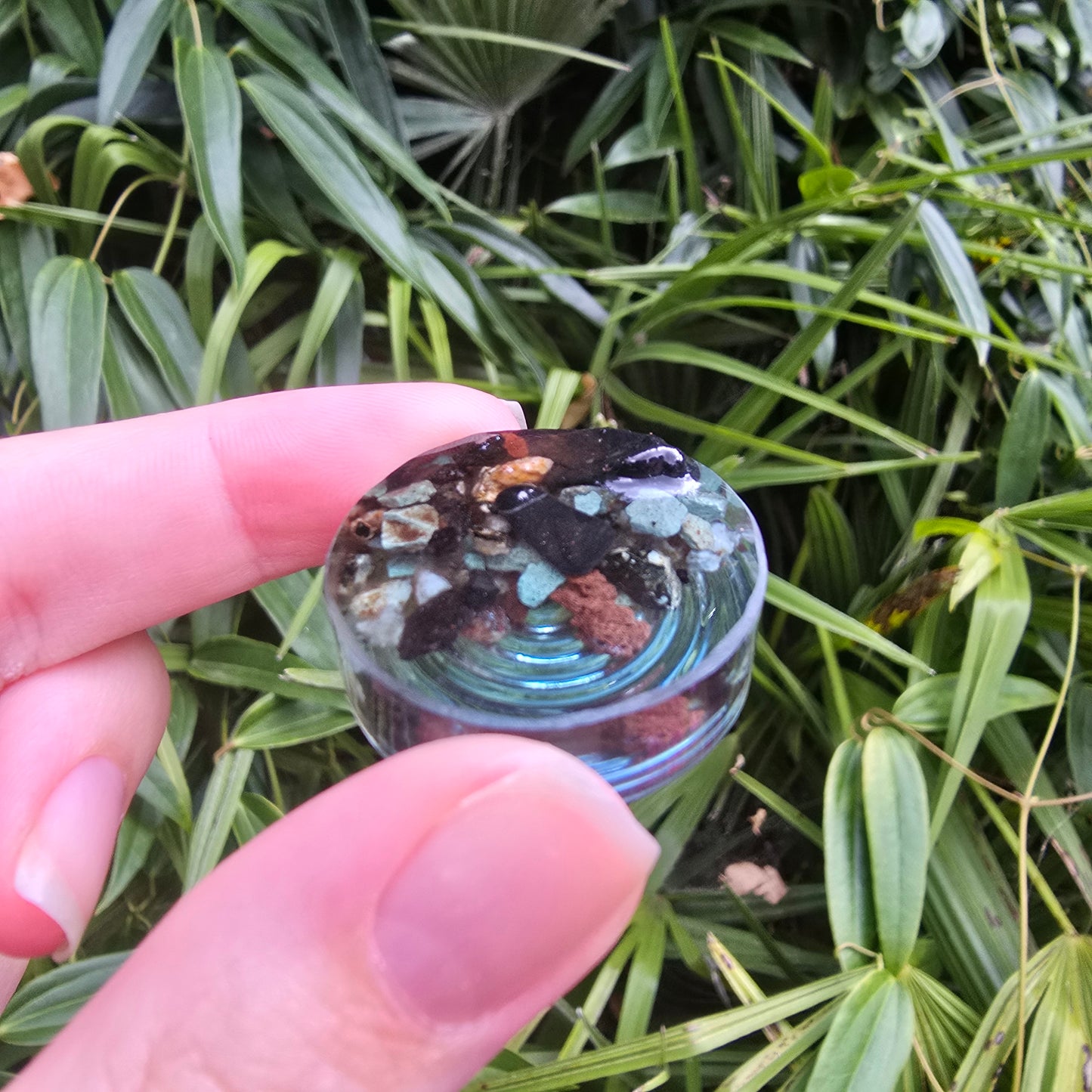 Ducky Pond Ripple Circle