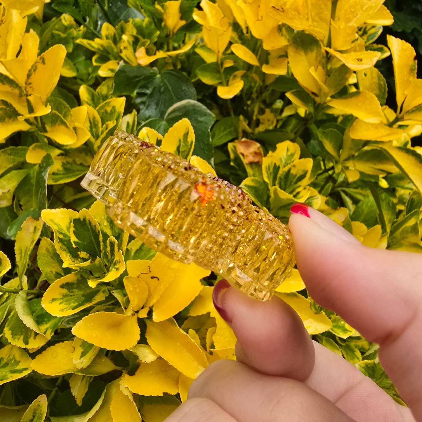 Autumn The Butterfly