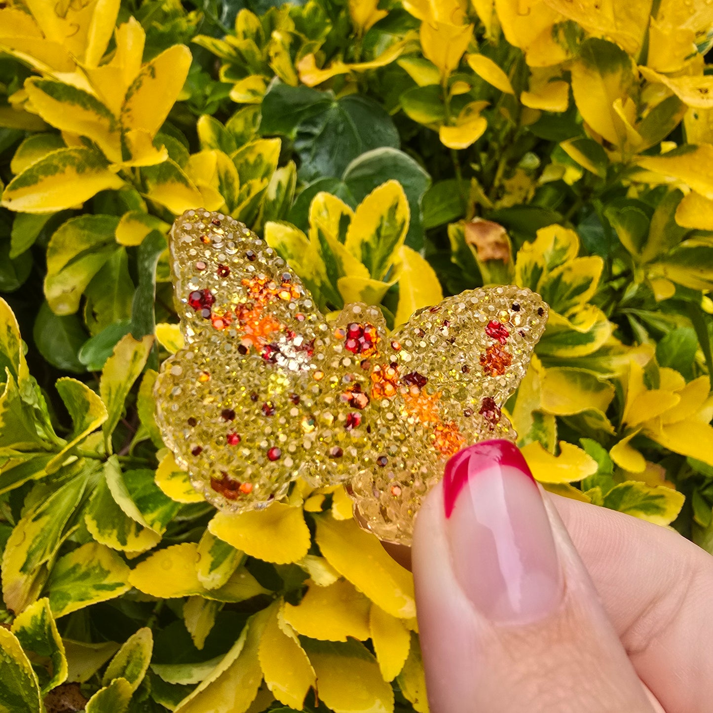 Autumn The Butterfly