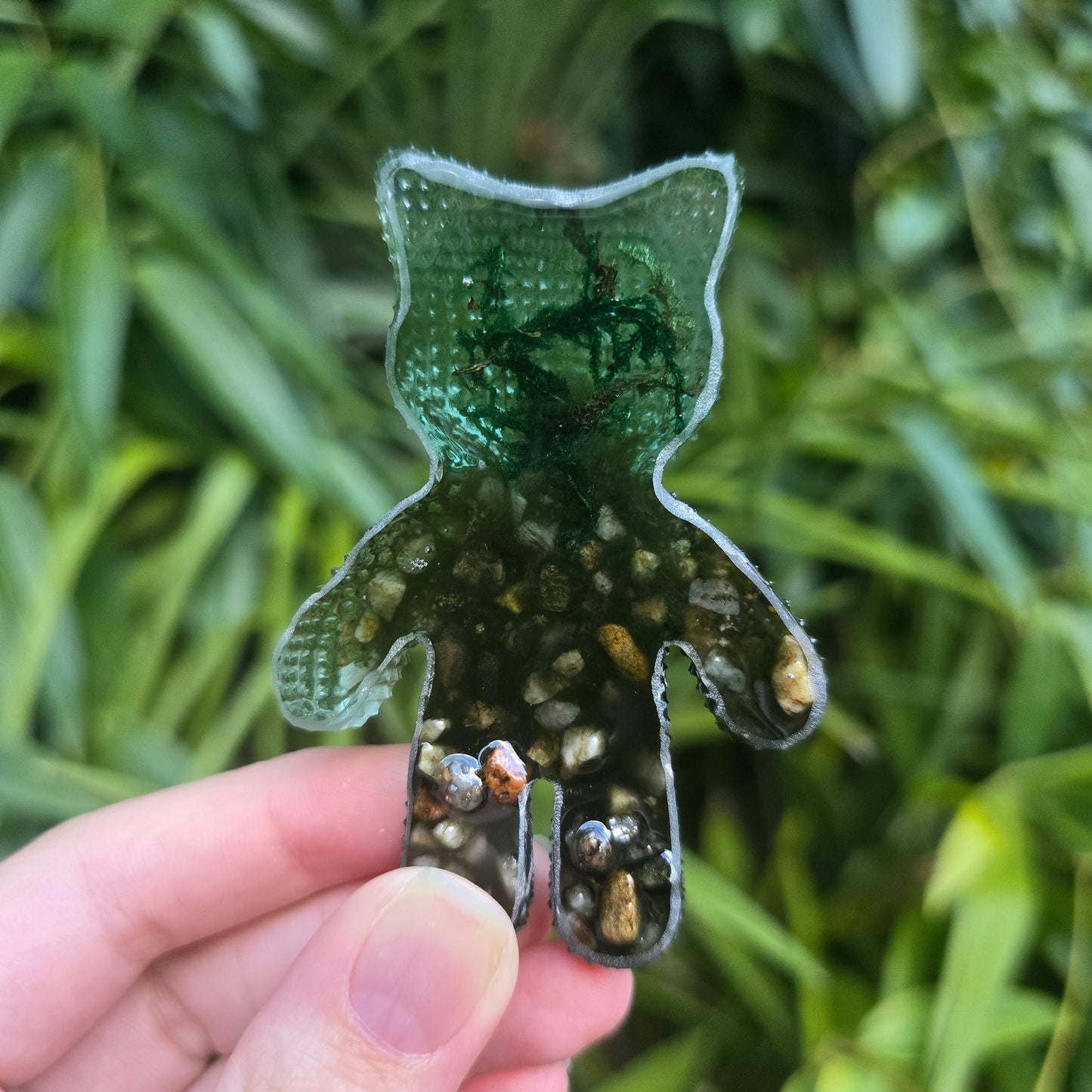 Froggy Pond Jagged Jessie