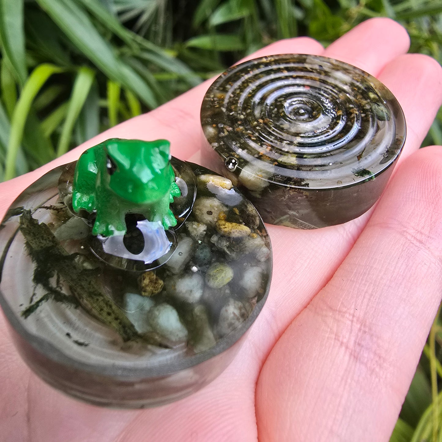 Froggy Pond Ripple Circle