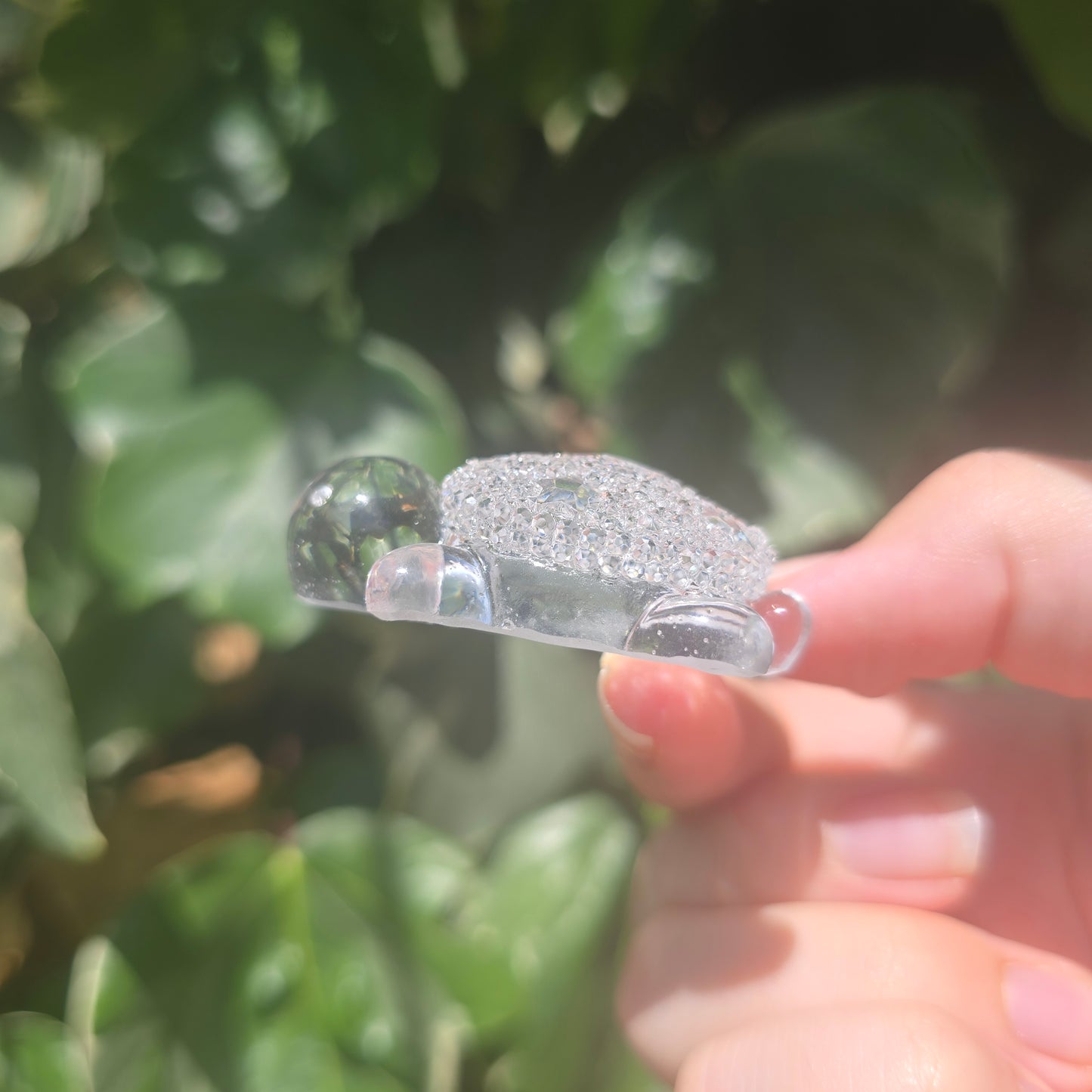 Tiny Turtle