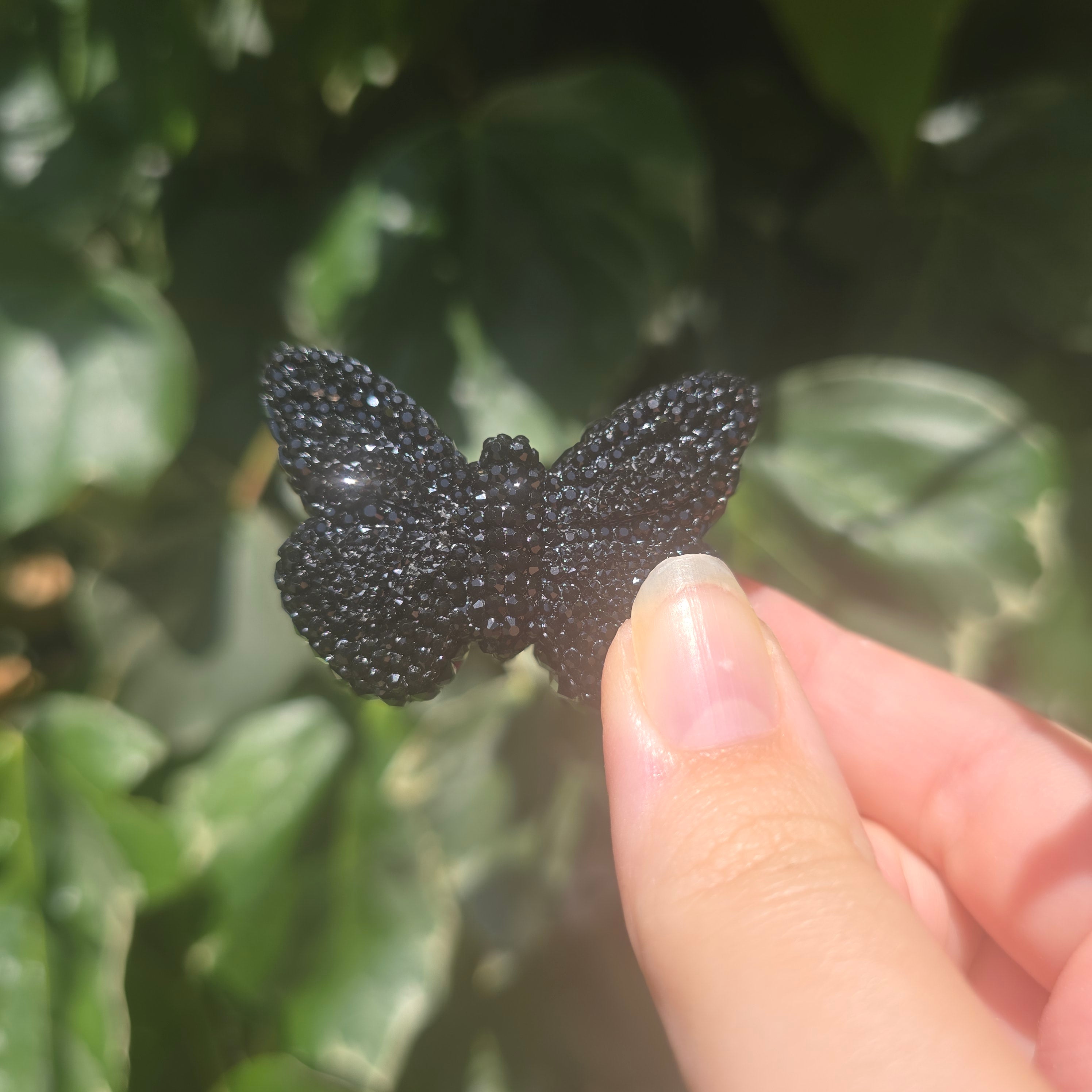 The Butterfly