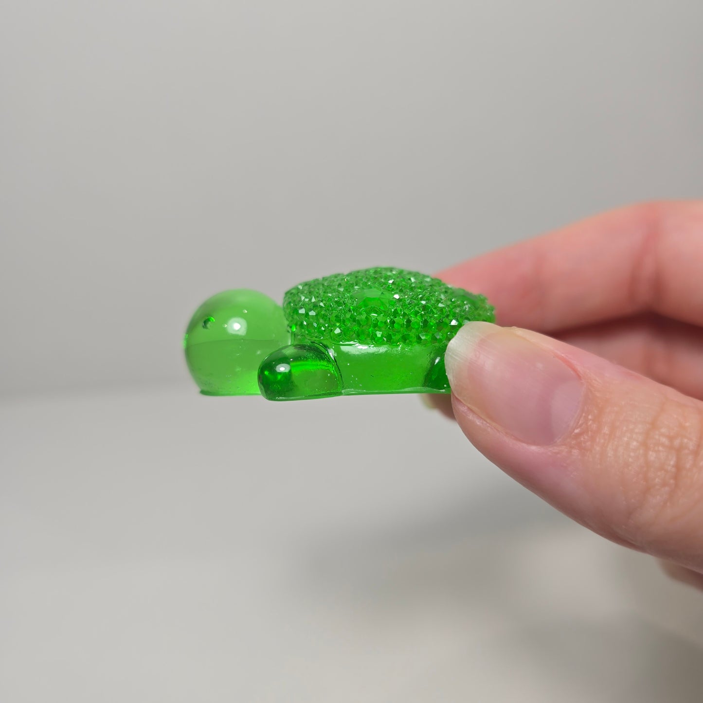 Tiny Turtle