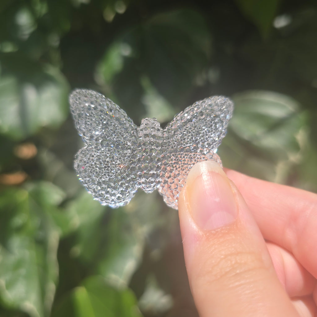 The Butterfly