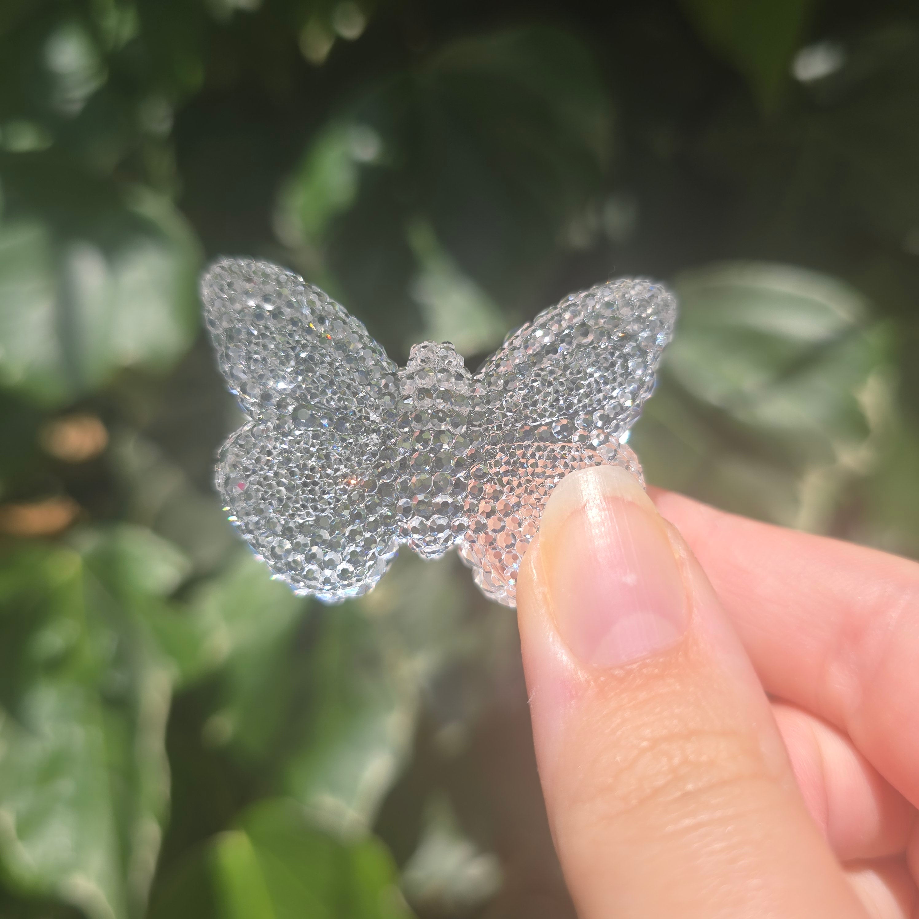 The Butterfly